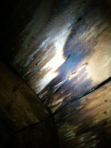 roof-leaks-225x300 